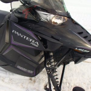 2017 Arctic cat Pantera 7000 2 up 4 stroke (yamaha) Asking $7949.00 All trades Welcome