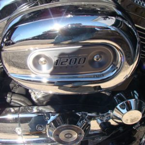 2016 Harley Davidson XL1200 Custom Asking $10495.00 All trades Wcome